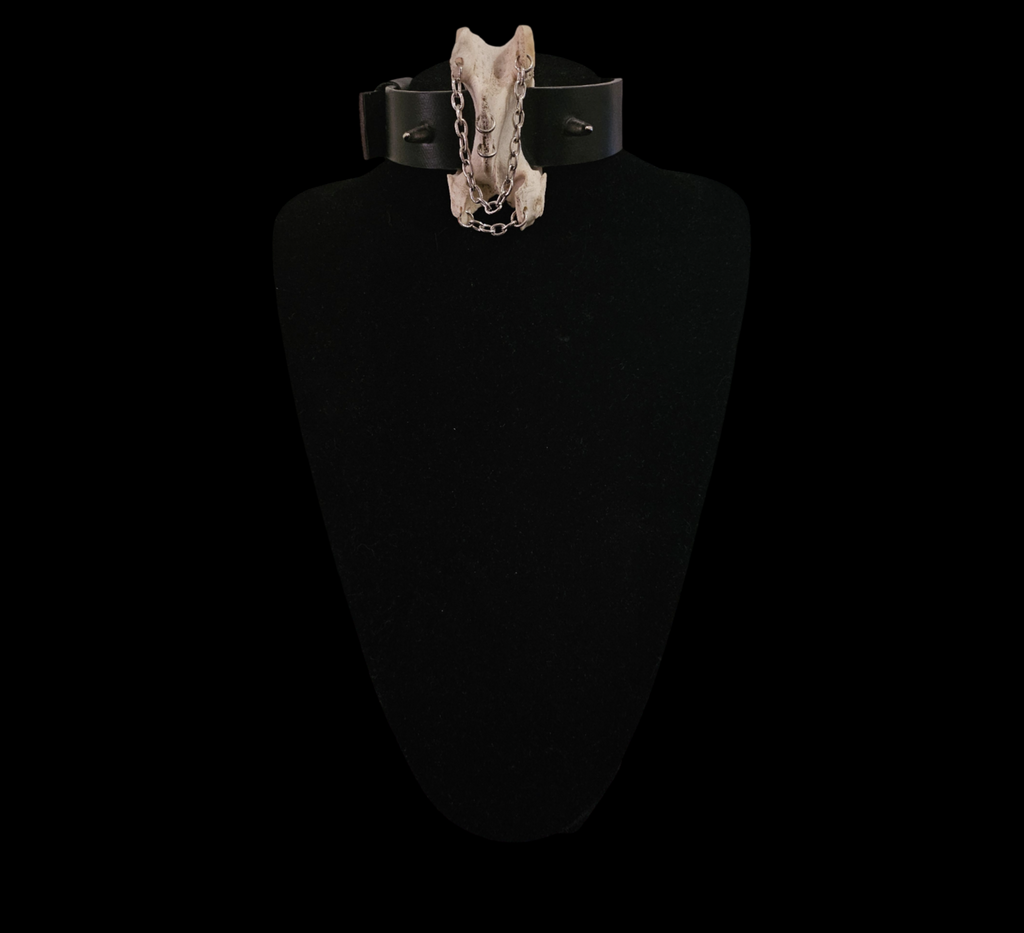 Vertebrae necklace