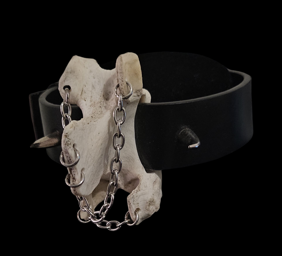 Vertebrae necklace