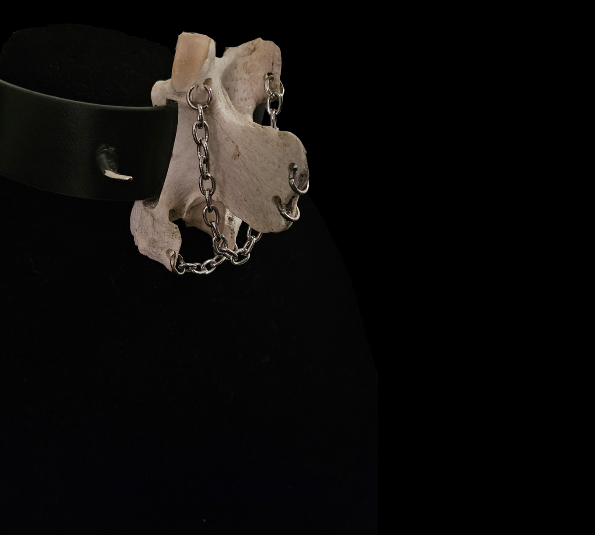 Vertebrae necklace