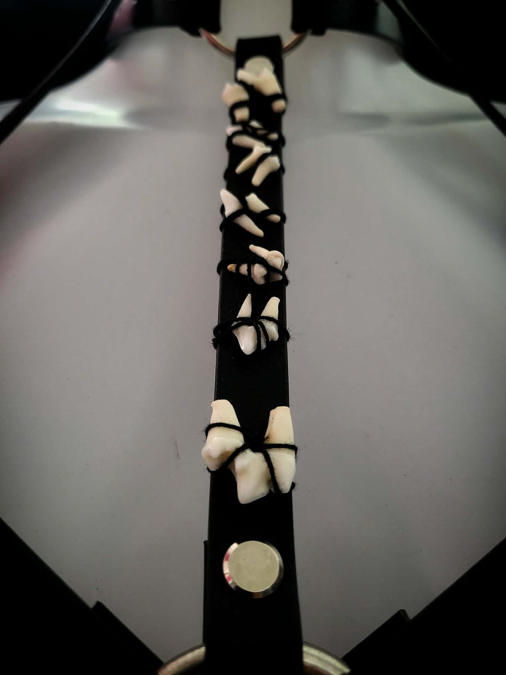 Teeth harness