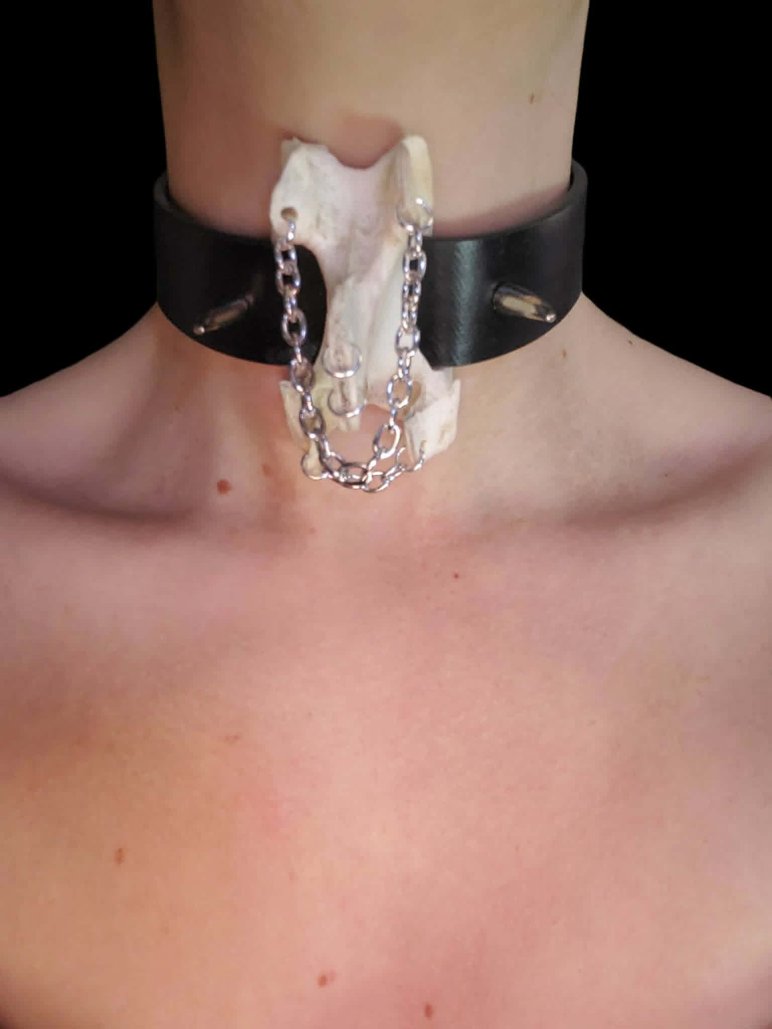 Vertebrae necklace