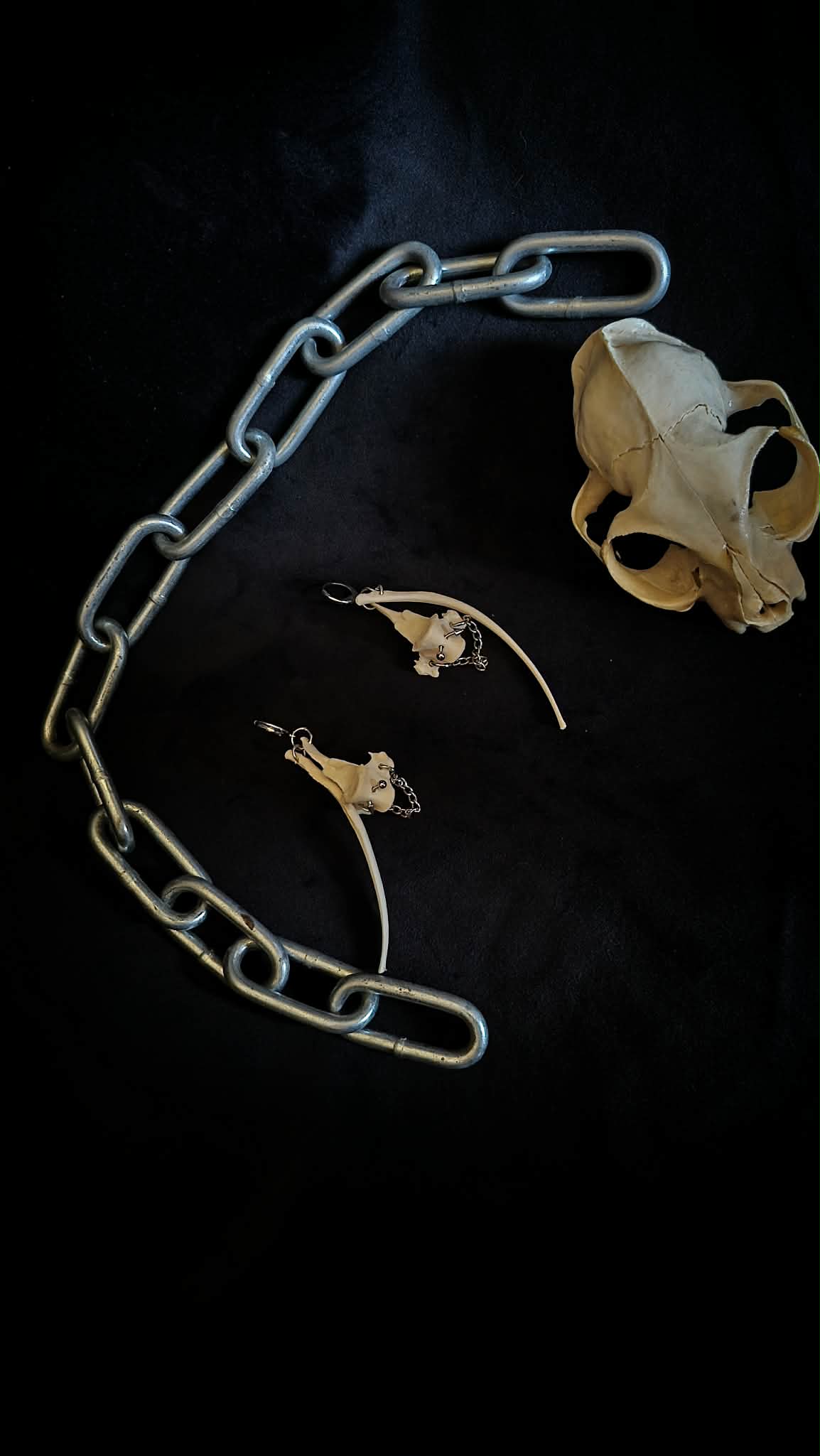 Succube earring