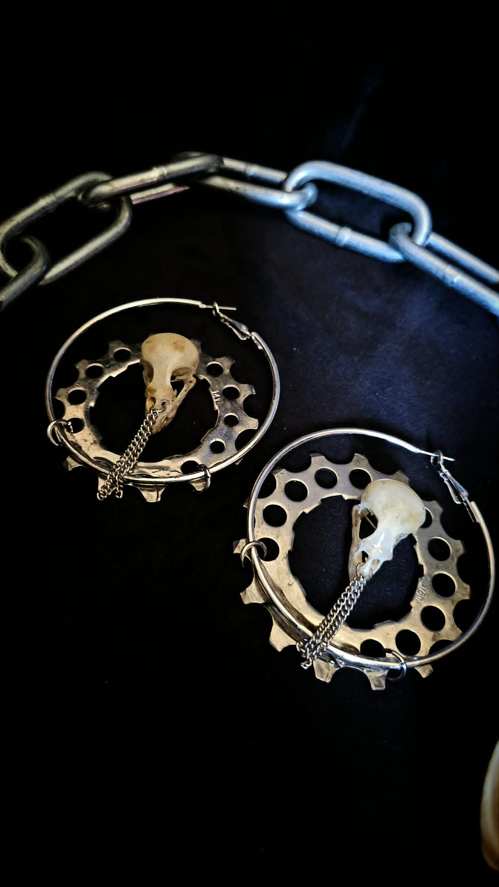 Sparrhead earing