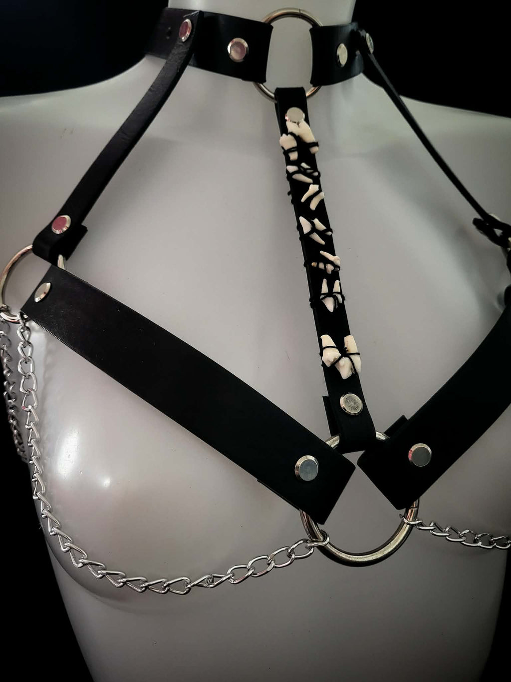 Teeth harness