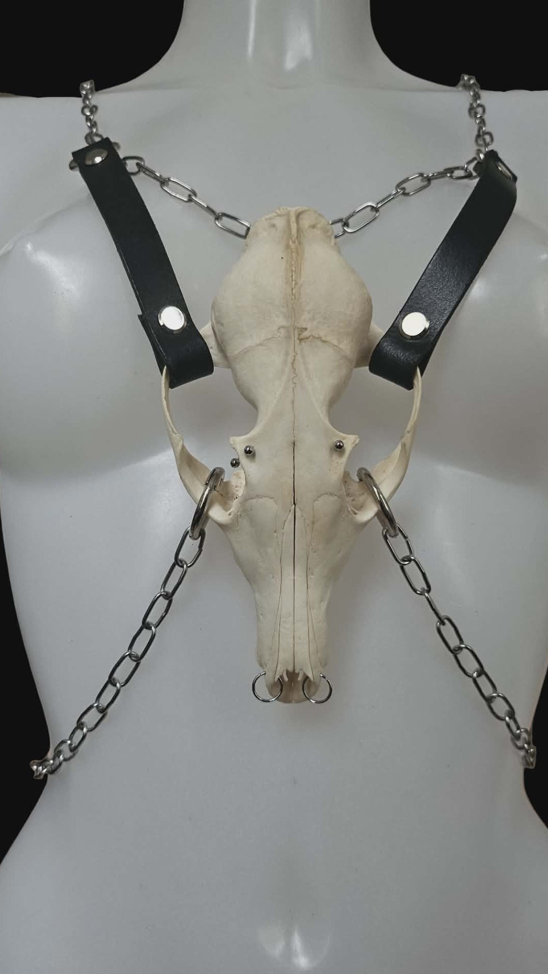 Venom harness