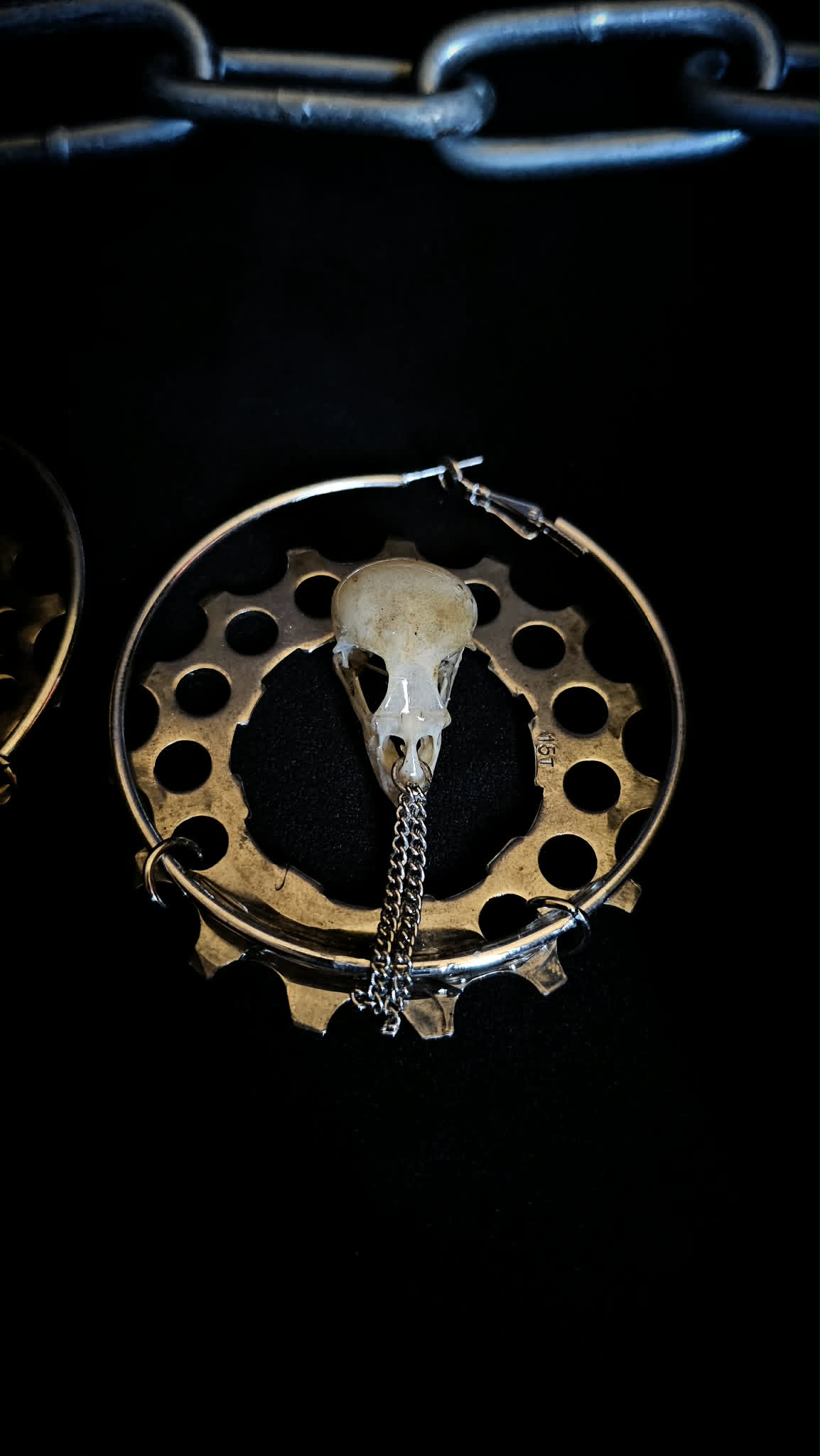 Sparrhead earing