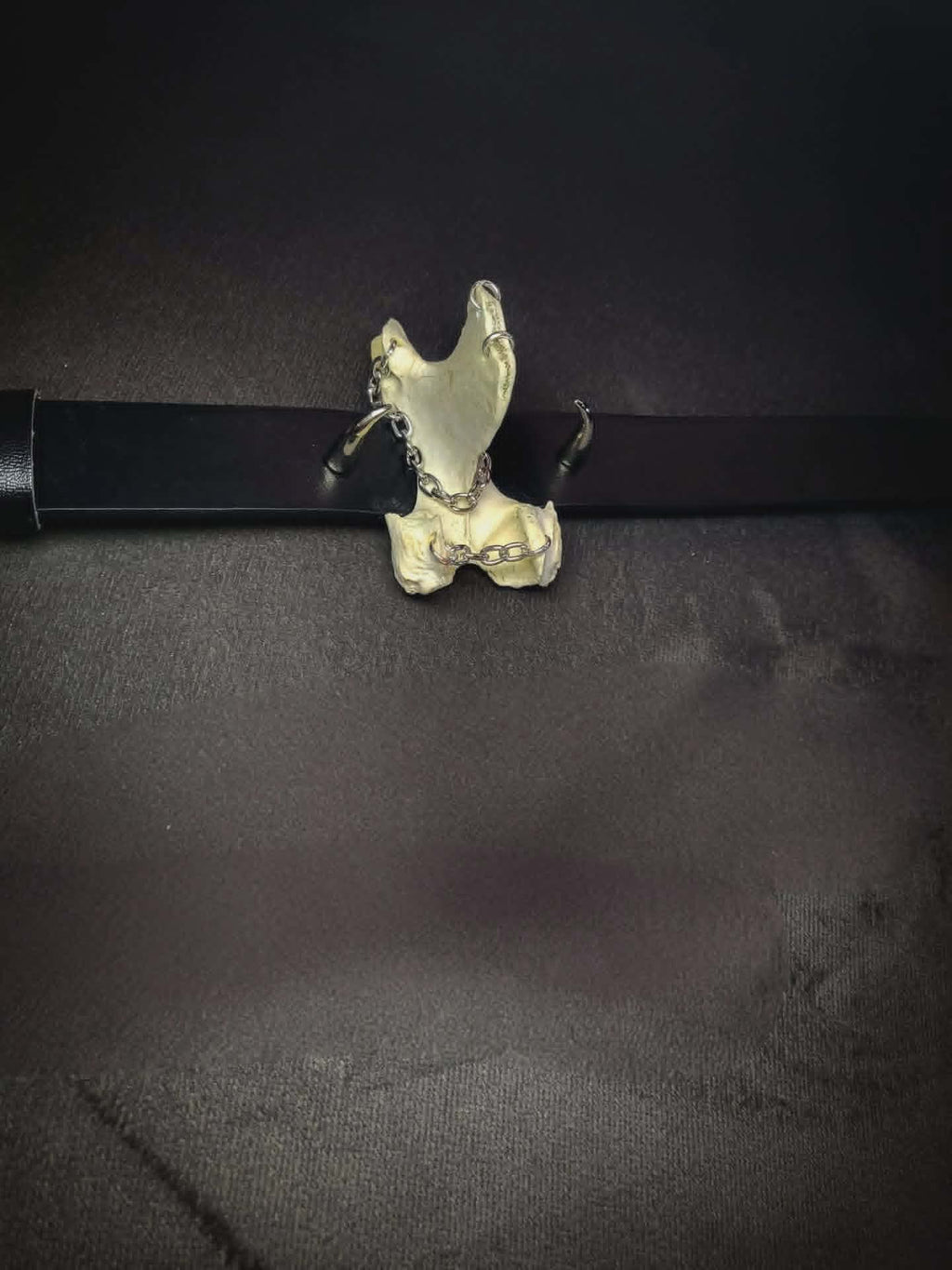 Vertebrae necklace