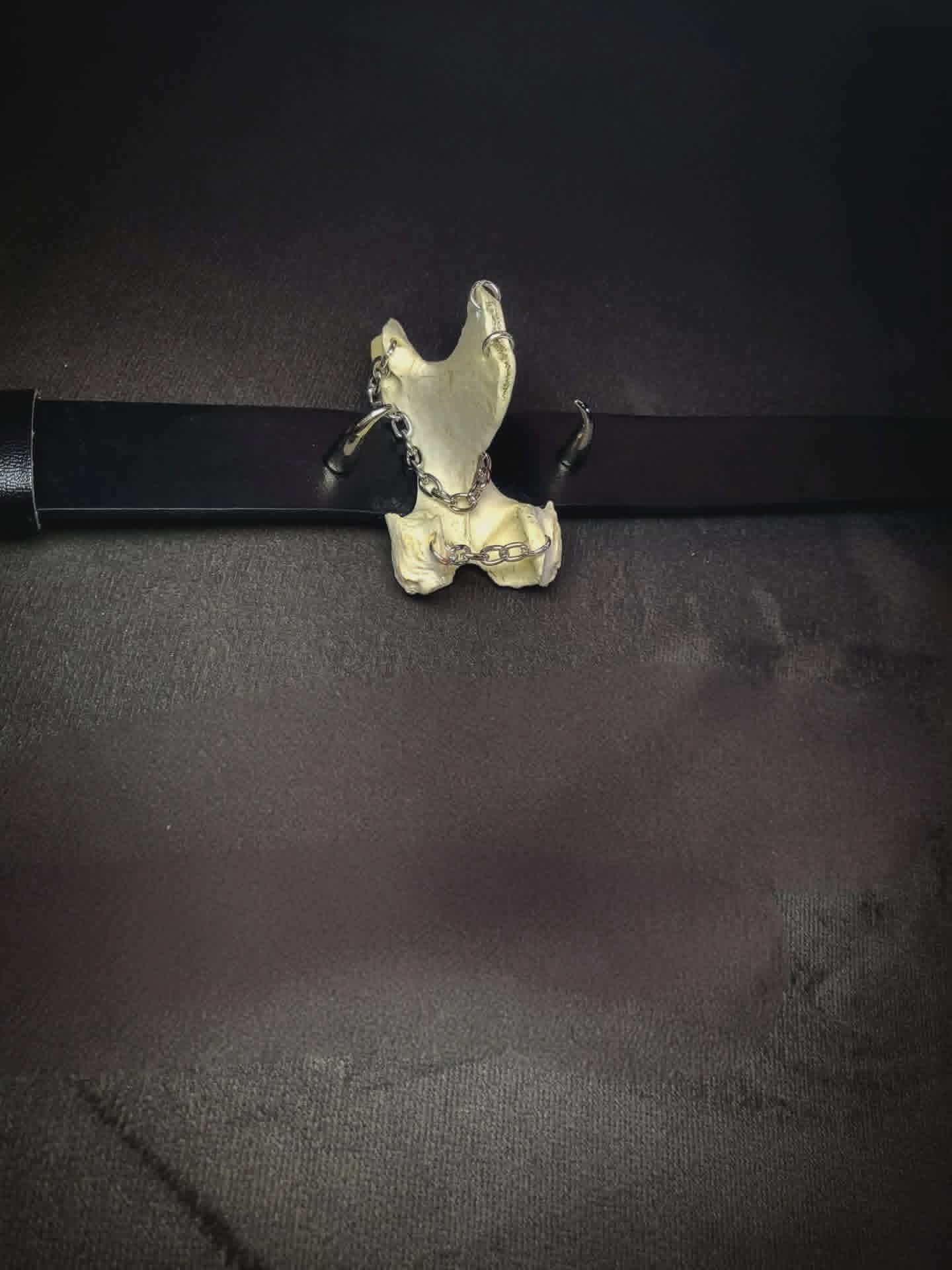 Vertebrae necklace