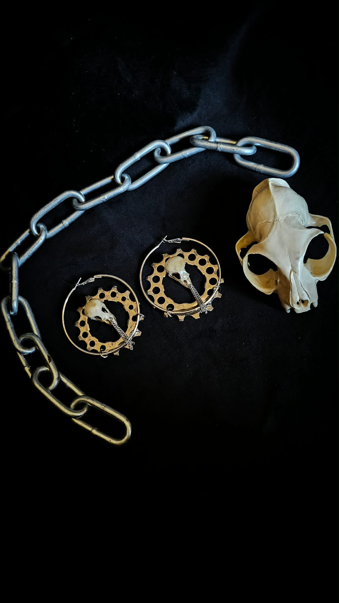 Sparrhead earing