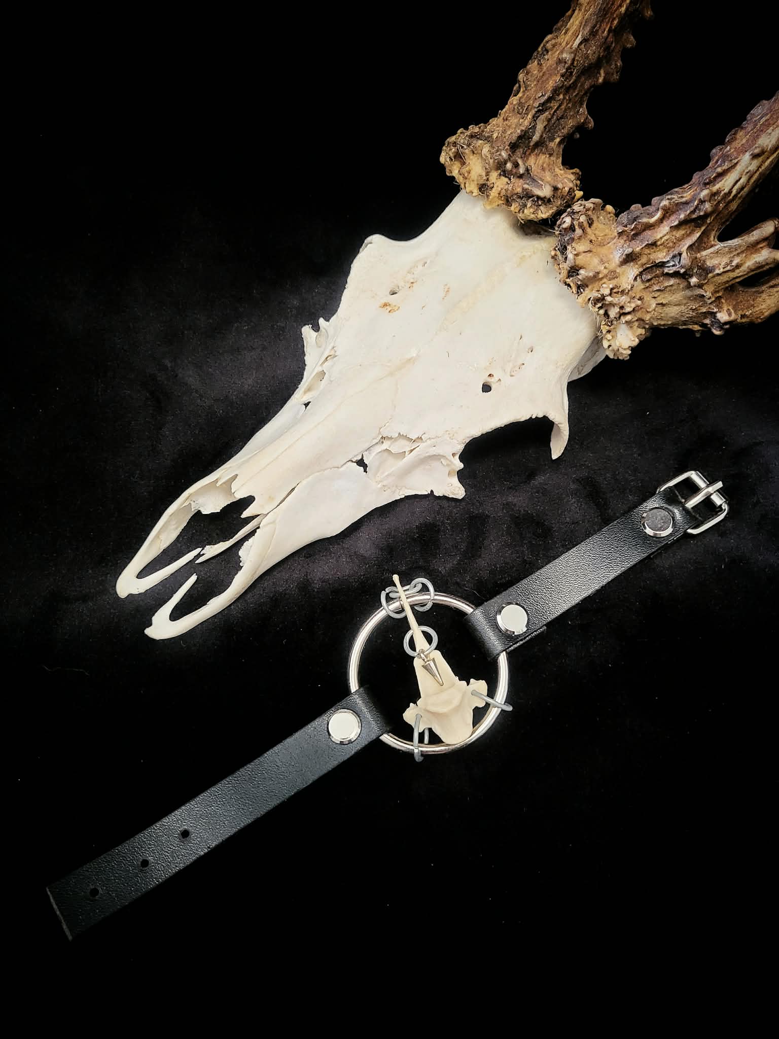 Seraph bracelet