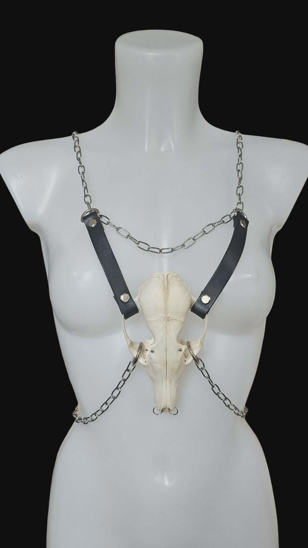 Venom harness