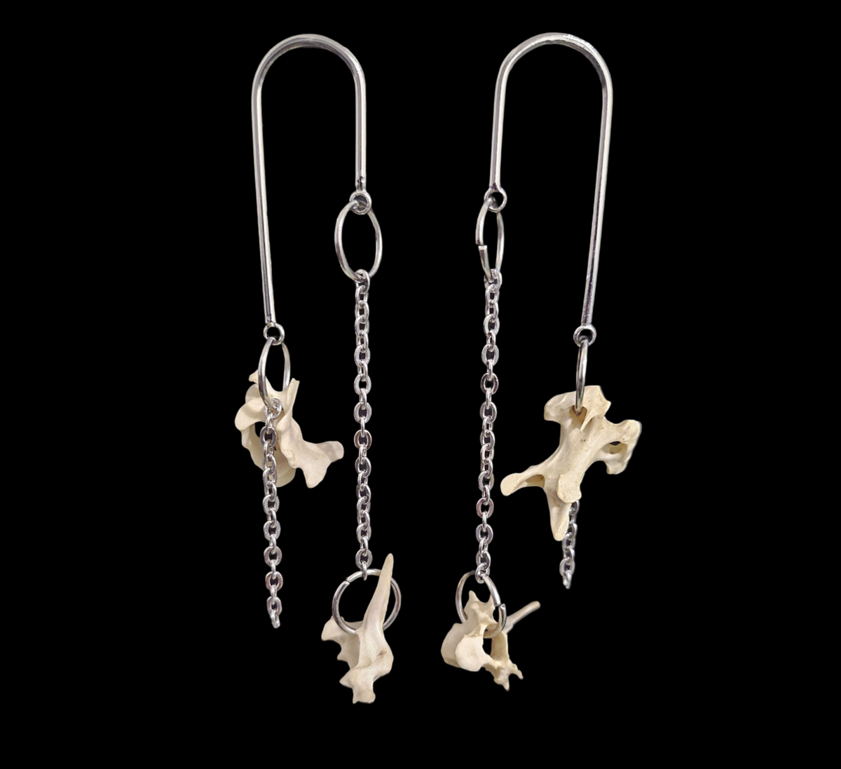 Spine earring